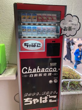 西武園ゆうえんちに投稿された画像（2022/4/29）