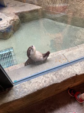 沖縄こどもの国に投稿された画像（2022/4/29）