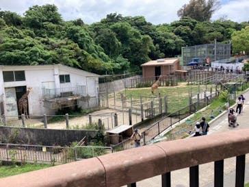 沖縄こどもの国に投稿された画像（2022/4/29）