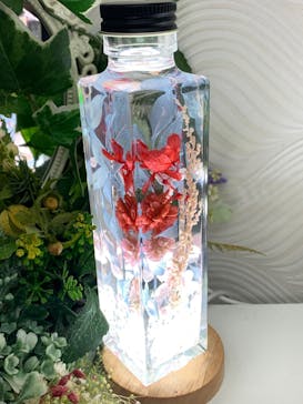 ずこうしつ〜sugamo〜に投稿された画像（2022/4/29）