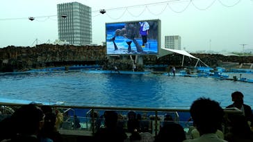 名古屋港水族館に投稿された画像（2022/4/29）