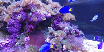 大分マリーンパレス水族館 「うみたまご」に投稿された画像（2022/4/29）