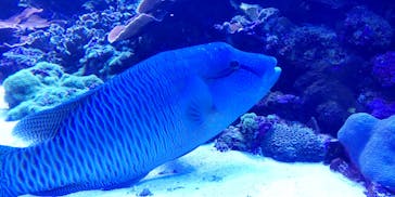 大分マリーンパレス水族館 「うみたまご」に投稿された画像（2022/4/29）