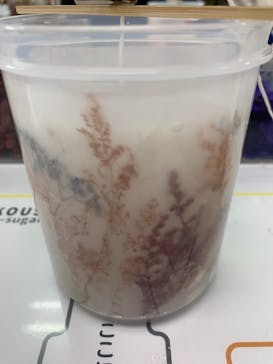 ずこうしつ〜sugamo〜に投稿された画像（2022/4/29）