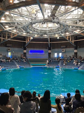 マクセル アクアパーク品川に投稿された画像（2022/4/29）