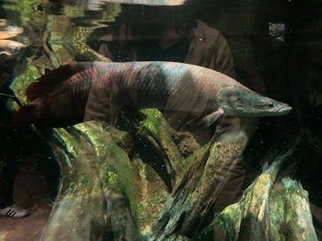 マクセル アクアパーク品川に投稿された画像（2022/4/29）