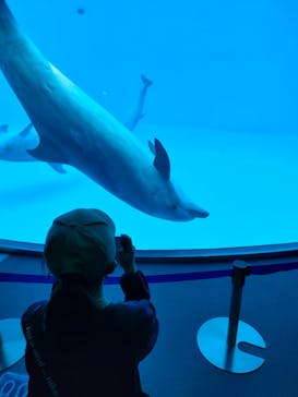 名古屋港水族館に投稿された画像（2022/4/29）