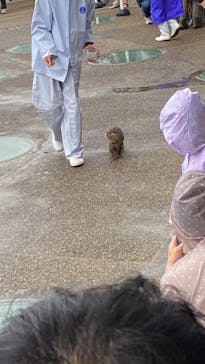大分マリーンパレス水族館 「うみたまご」に投稿された画像（2022/4/29）