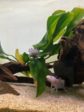 サンシャイン水族館に投稿された画像（2022/4/29）