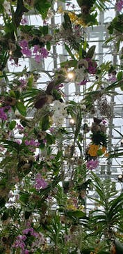 チームラボプラネッツ TOKYO DMMに投稿された画像（2022/4/29）