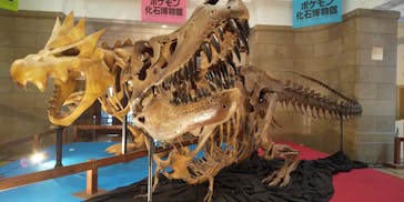 国立科学博物館　特別企画展「ポケモン化石博物館」に投稿された画像（2022/4/29）