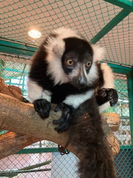 那須ワールドモンキーパークに投稿された画像（2022/4/29）