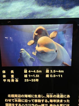 名古屋港水族館に投稿された画像（2022/4/29）