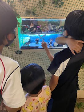 ネオパークオキナワに投稿された画像（2022/4/29）