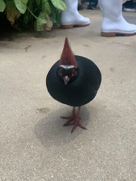 神戸どうぶつ王国に投稿された画像（2022/4/29）