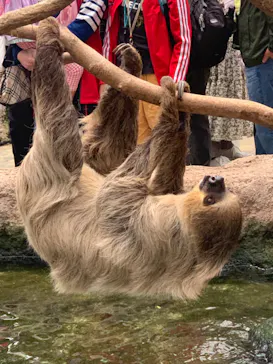 神戸どうぶつ王国に投稿された画像（2022/4/29）