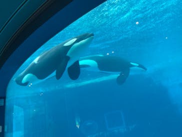 名古屋港水族館に投稿された画像（2022/4/29）