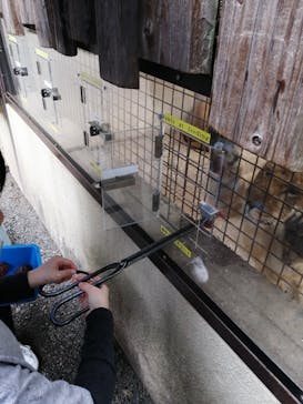 群馬サファリパークに投稿された画像（2022/4/29）