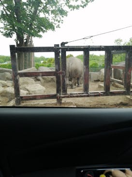 群馬サファリパークに投稿された画像（2022/4/29）