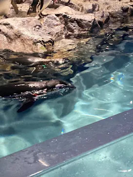 すみだ水族館に投稿された画像（2022/4/29）