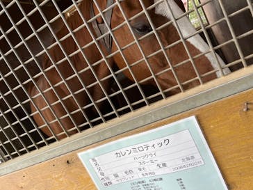 ノーザンホースパークに投稿された画像（2022/4/29）