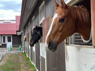 ノーザンホースパークに投稿された画像（2022/4/29）