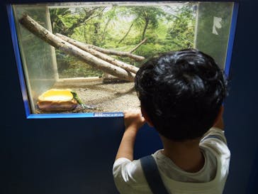 ネオパークオキナワに投稿された画像（2022/4/29）