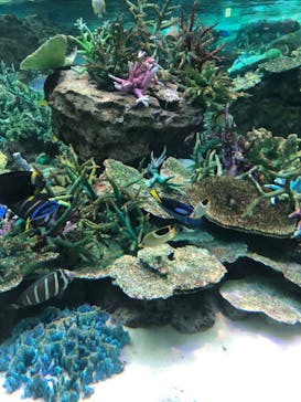 名古屋港水族館に投稿された画像（2022/4/29）