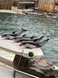 城崎マリンワールドに投稿された画像（2022/4/29）