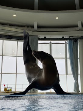 アクアワールド茨城県大洗水族館に投稿された画像（2022/4/29）