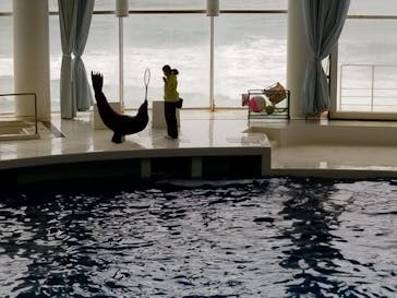 アクアワールド茨城県大洗水族館に投稿された画像（2022/4/29）