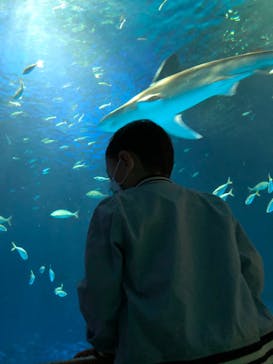 島根県立 しまね海洋館に投稿された画像（2022/4/29）