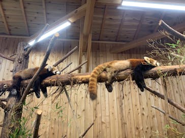 伊豆シャボテン動物公園に投稿された画像（2022/4/29）