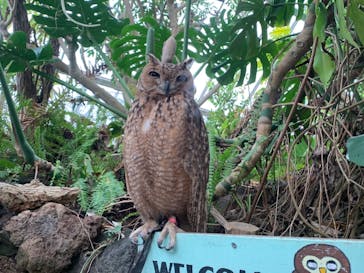 伊豆シャボテン動物公園に投稿された画像（2022/4/29）