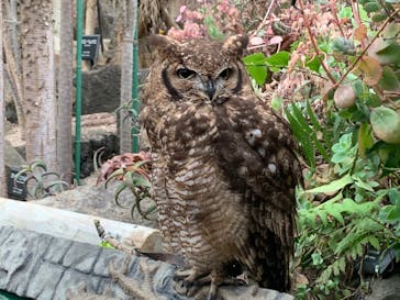 伊豆シャボテン動物公園に投稿された画像（2022/4/29）