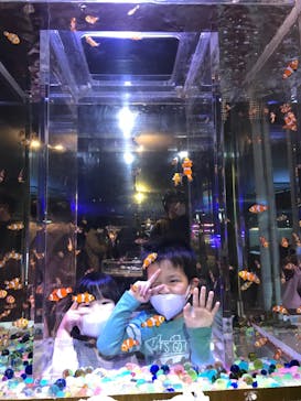 ゼロ距離水族館 伊勢シーパラダイスに投稿された画像（2022/4/29）