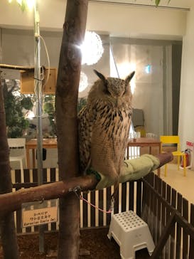 Moff animal cafe イオンモール幕張新都心店に投稿された画像（2022/4/29）