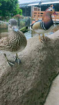 神戸どうぶつ王国に投稿された画像（2022/4/29）