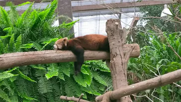 神戸どうぶつ王国に投稿された画像（2022/4/29）