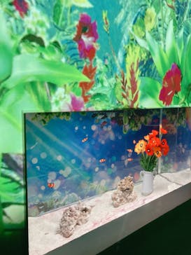 マクセル アクアパーク品川に投稿された画像（2022/4/29）