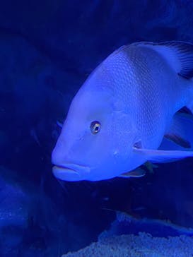 マクセル アクアパーク品川に投稿された画像（2022/4/29）