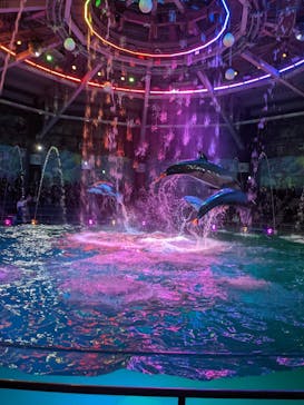 マクセル アクアパーク品川に投稿された画像（2022/4/29）