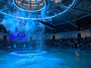 マクセル アクアパーク品川に投稿された画像（2022/4/29）