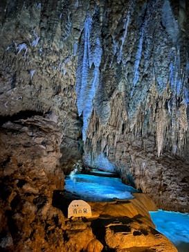 おきなわワールドに投稿された画像（2022/4/29）