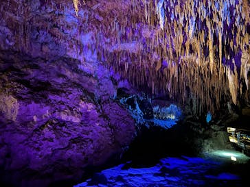 おきなわワールドに投稿された画像（2022/4/29）