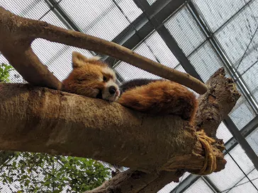 神戸どうぶつ王国に投稿された画像（2022/4/29）