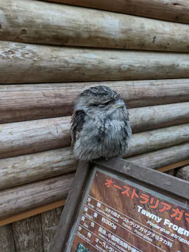 神戸どうぶつ王国に投稿された画像（2022/4/29）