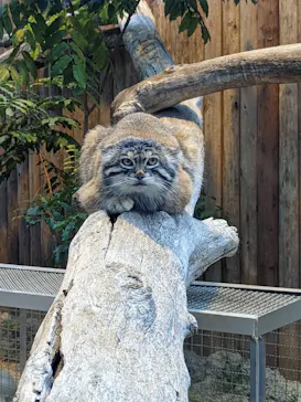 神戸どうぶつ王国に投稿された画像（2022/4/29）