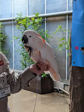 神戸どうぶつ王国に投稿された画像（2022/4/29）