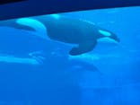 名古屋港水族館に投稿された画像（2022/4/30）